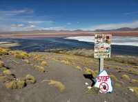 해외여행 볼리비아의 붉은 호수 Laguna Colorada