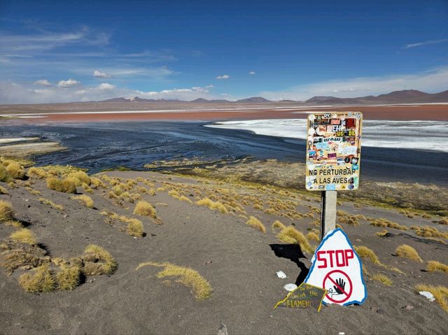 해외여행 볼리비아의 붉은 호수 Laguna Colorada