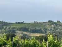 Vineyard visiting in Siena 