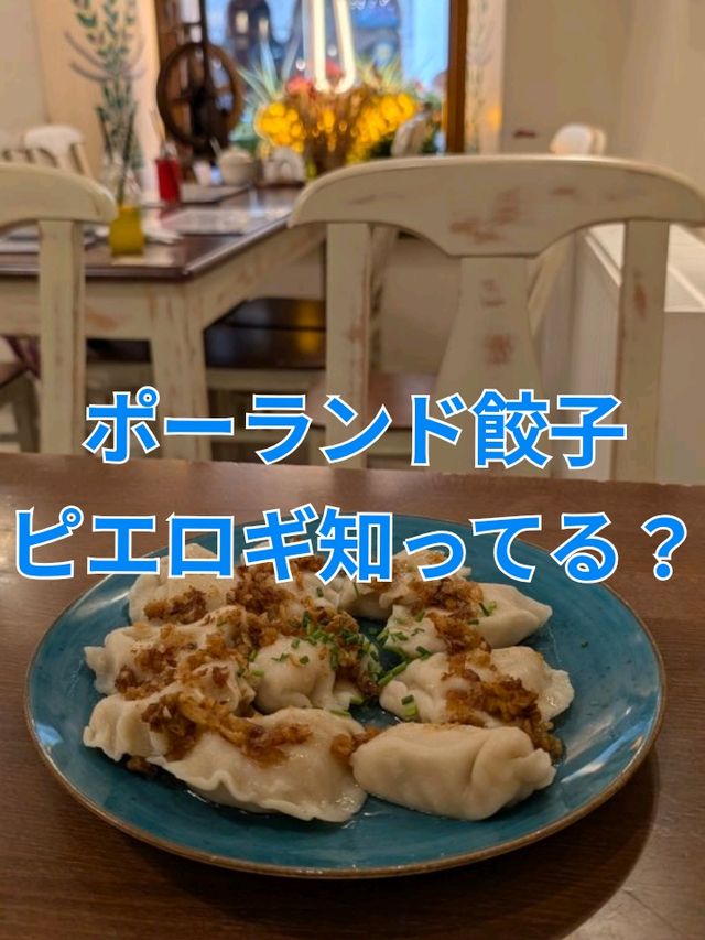 ポーランドの絶品ピエロギを味わうなら！Pierogarnia Krakowiacyへ🥟🇵🇱