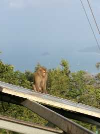 Visiting the Big Buddha of Phuket: Review Above the Clouds