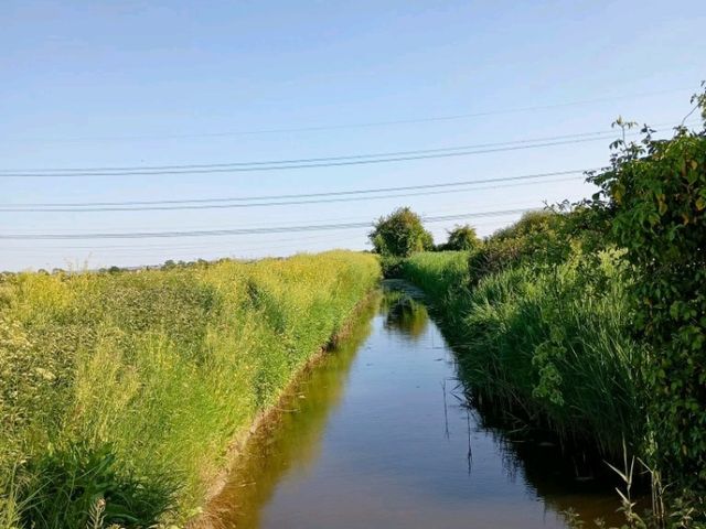 Magor Marsh and the Caldicot Levels 