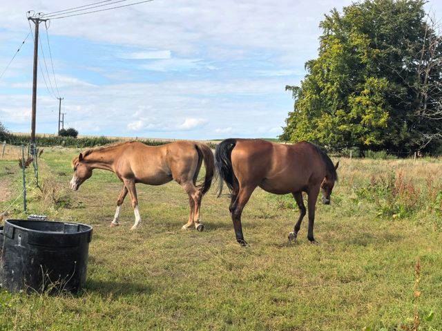 Summer holiday in Wingham, UK
