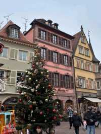 Little Venice of Alsace: Your Guide to Colmar 🩷✨️