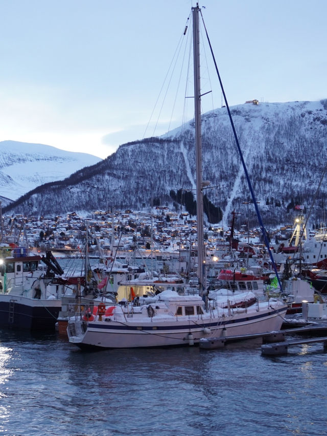 追寻极光的北极之心｜特罗姆瑟 Tromsø
