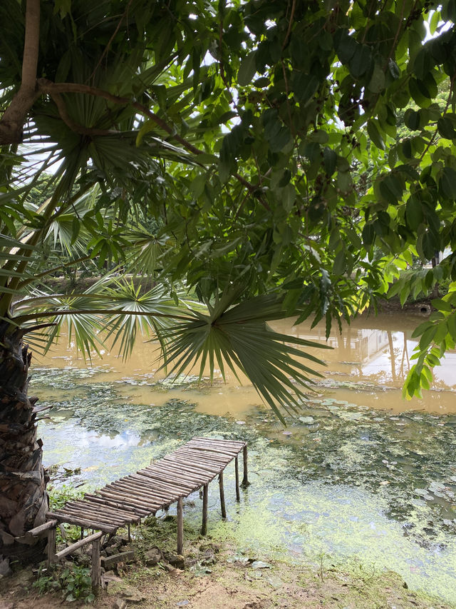 Сиемреап, Камбоджа.