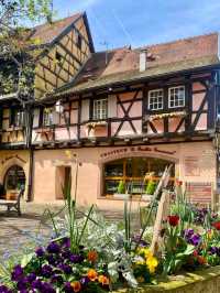 Village Charm Guide🌸