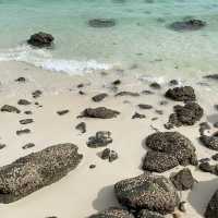 Побег из большого города, Паттайя-Ко Лан