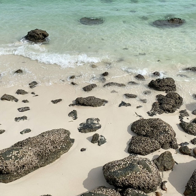 Побег из большого города, Паттайя-Ко Лан Побег из большого города, Паттайя-Ко Лан