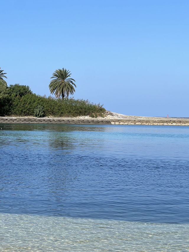 Urban escape in Naha Okinawa 