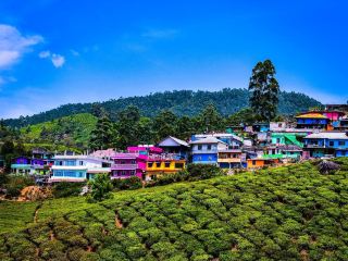  Munnar: A Place Where Green Becomes Endless.
