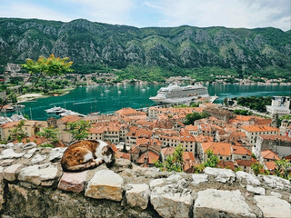 Boka Bay from Above: The Ultimate Viewpoints of Kotor Bay