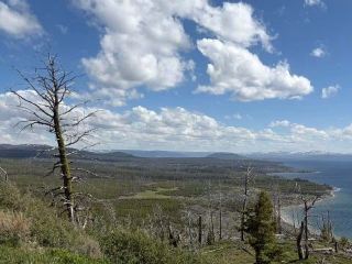 Yellowstone National Park: Nature’s Insta-Worthy Playground