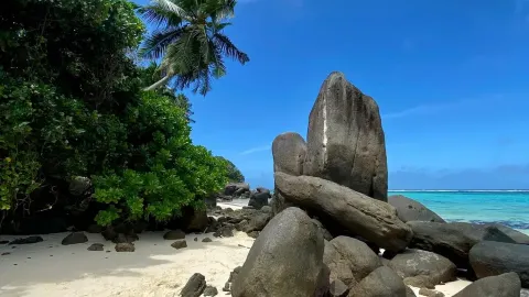 セーシェル 2026:誰も教えないインサイダー・ガイド(出発前に保存必須) — traveler post in コモロ