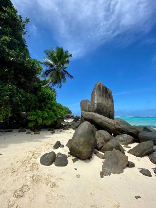 SEYCHELLES 2026: The Insider’s Guide Nobody Shares (Save This Before You Go) 🇸🇨