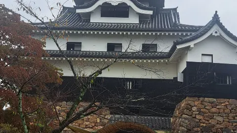 Unforgettable Day Tour from Nagoya: A Seamless Experience with an Exceptional Guide — traveler post in Ena