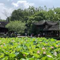 【中国・蘇州】夏は蓮の花が一面に咲き乱れる庭園・拙政園（世界文化遺産）