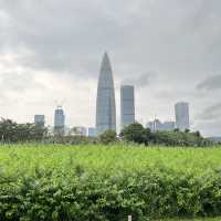 打卡深圳灣流花山公園