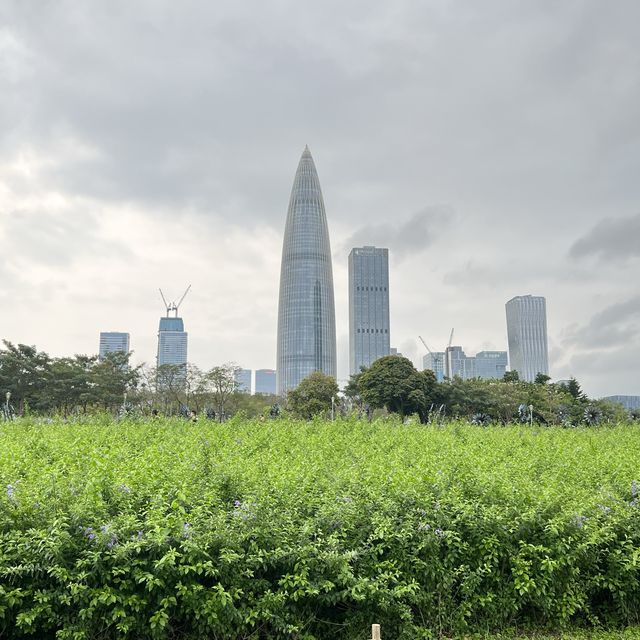 打卡深圳灣流花山公園