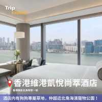 全港寵物酒店Staycation推介🐶 