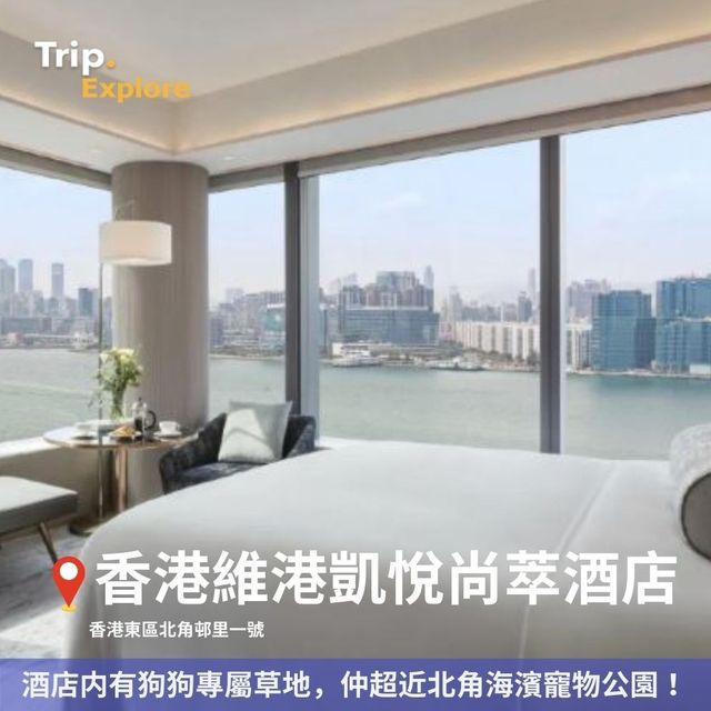 全港寵物酒店Staycation推介🐶 
