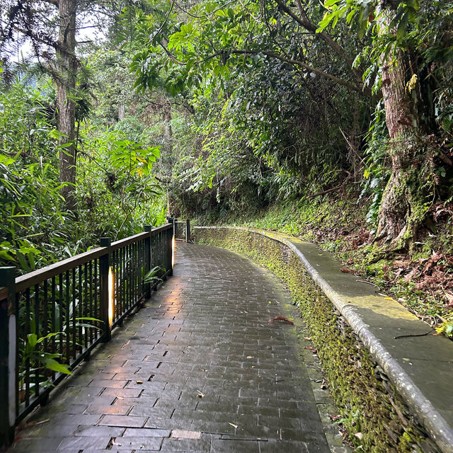 POV: I Took a Day Trip to Sun Moon Lake