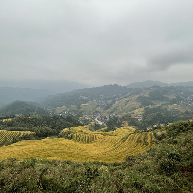 在大寨梯田山腰的龍脊印象酒店
