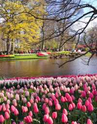 阿姆斯特丹植物園——五彩繽紛，真的很治癒！