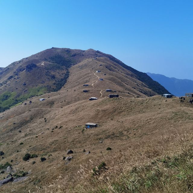 香港行山第十四站—鳳凰徑一段二段
