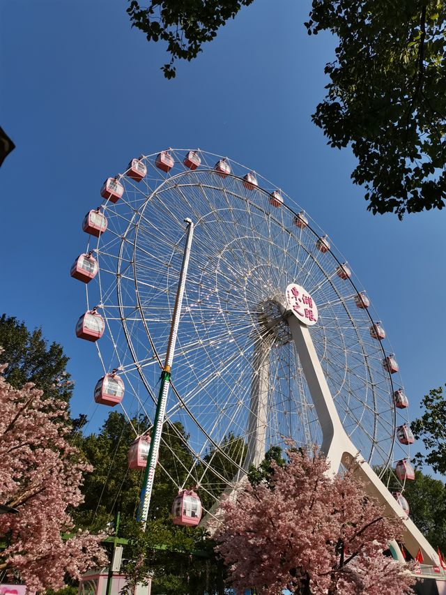 來武漢不可錯過的體驗之東湖騎行｜附2天1晚攻略