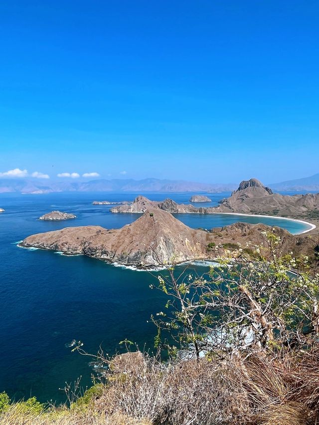 印尼/科莫多島/你見過粉紅色的沙灘嗎？