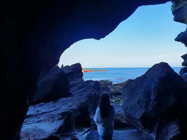 The jelly sea of Jeju Island, a sweet trip with my lover