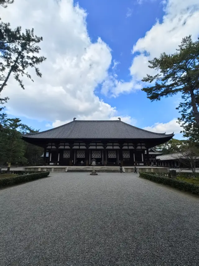 Trip to Kyoto and Nara