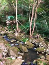 山不在高有水則靈||隱秘靜謐的百丈飛瀑