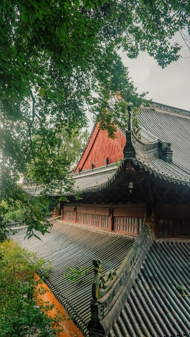 這才是中國傳統寺廟國清寺也了吧