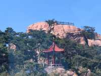 尋找“天下第一壽”——崂山仰口風景遊覽區