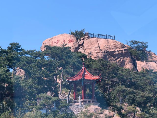 尋找“天下第一壽”——崂山仰口風景遊覽區