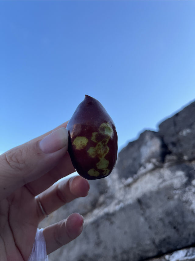 九華山莊至慕田峪長城半日遊