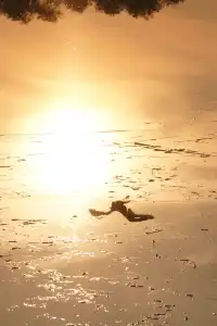 去太湖濕地公園，晚秋景是最誘人