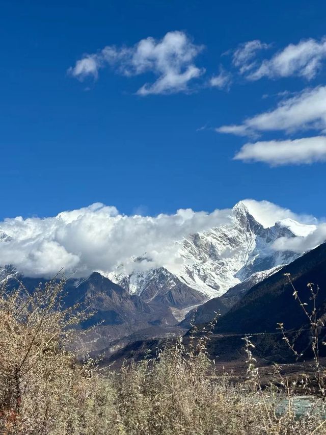 西藏林芝尼洋河濕地