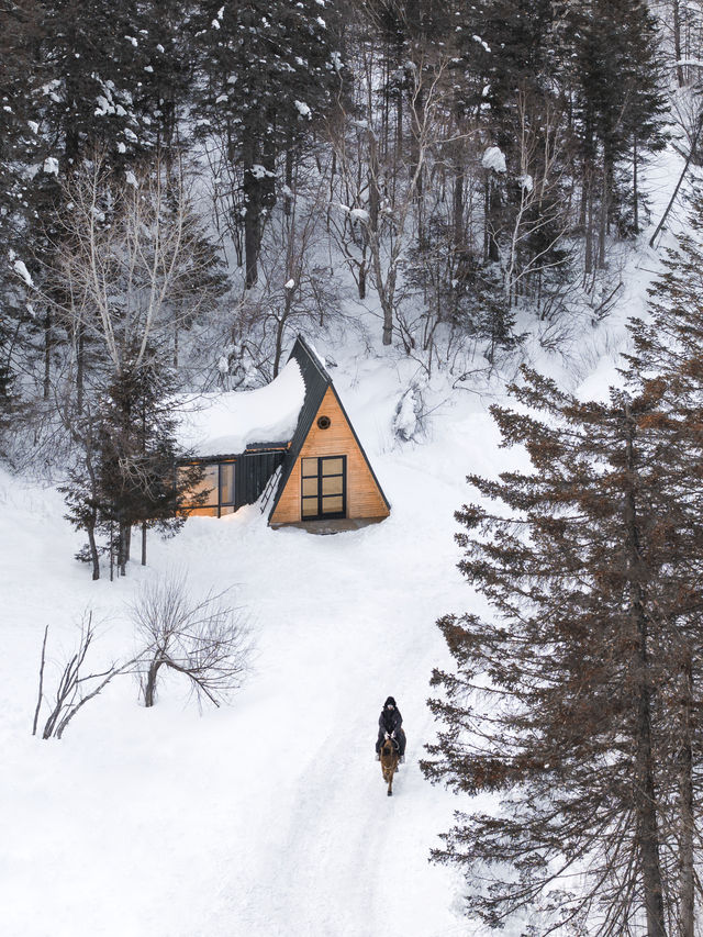 這個冬天，終於住進了童話裡的森林小木屋