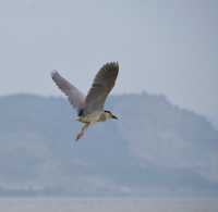 不愧是浙江浪漫公園，恍若山海一色！