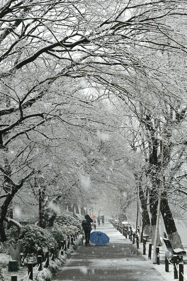 屬於西湖的浪漫童話，杭州下大雪啦