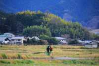 奈良橿原市」明日香村 」飛鳥」半日遊線路