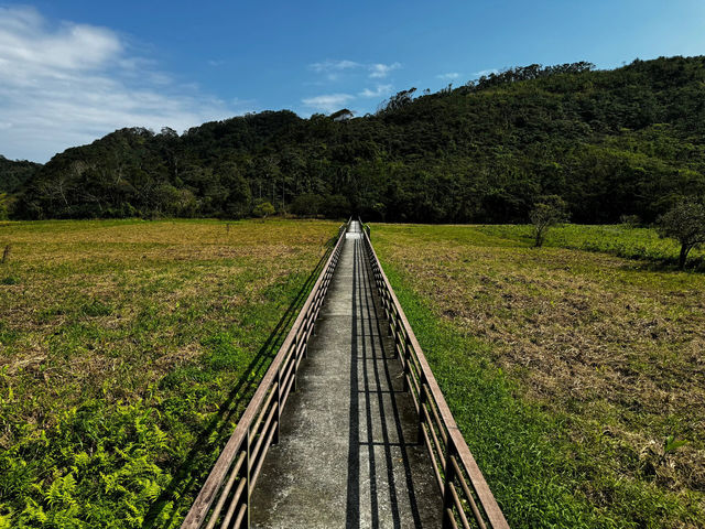 自駕環台灣島攻略-來一場治癒自我的旅行