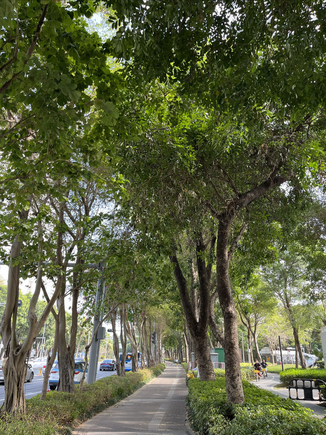 深圳Citywalk：福榮綠道
