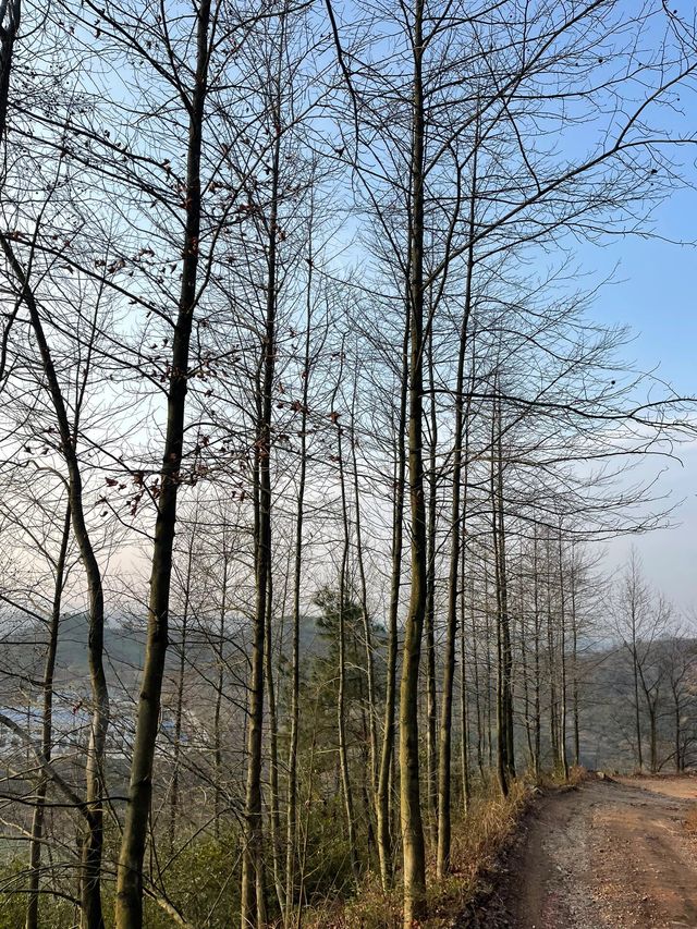 明月洞，簡直像是溆浦的秘境