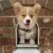 Ward_Olivia_35