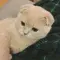 Bell_Blythe_34