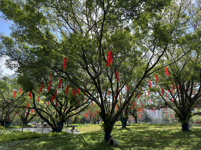 新安公園